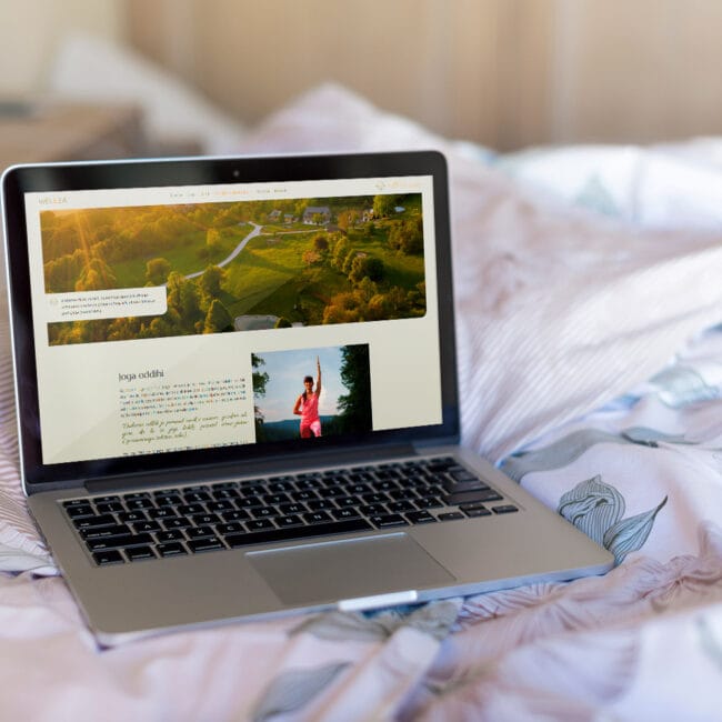 Amaroo Izdelava spletne strani wellea.si